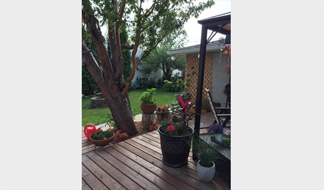 Room for rent in 75 Street Northwest, Northeast Edmonton - Are you looking for a quiet room??? - Image 1