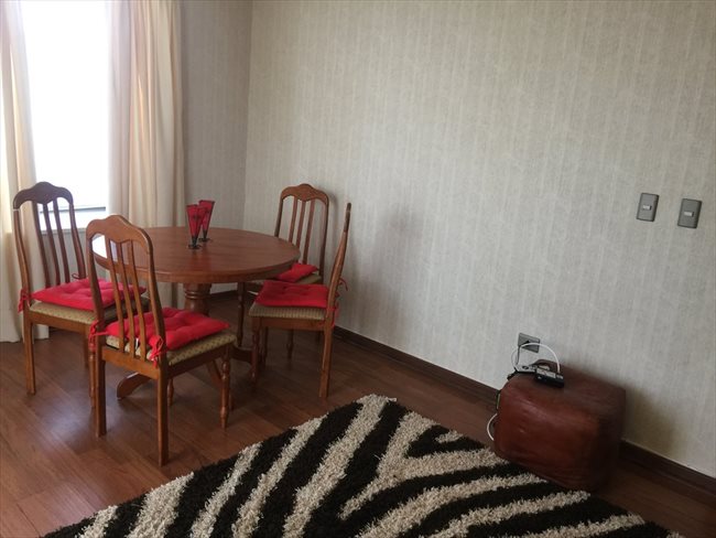 Pieza en arriendo en Talca Sur, Talca - comparto mi depto | CompartoDepto - Image 3