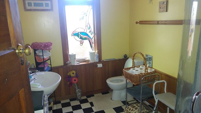 Room to rent in Wychbury Street, Christchurch - Couple? New to ChCh.? - Image 4