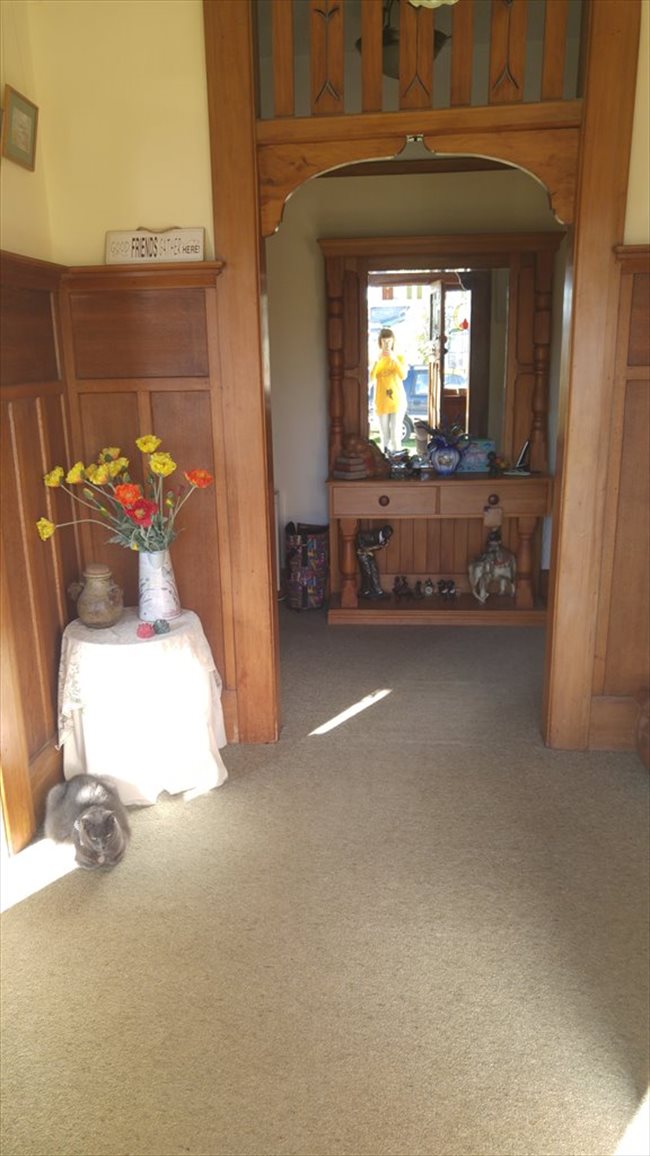 Room to rent in Wychbury Street, Christchurch - Couple? New to ChCh.? - Image 7
