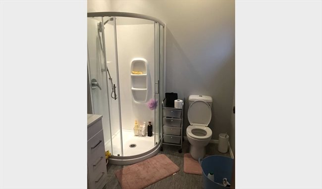 Room to rent in Hume Street, Lower Hutt - house in nice quet area, and lovely veg and flower garden - Image 2