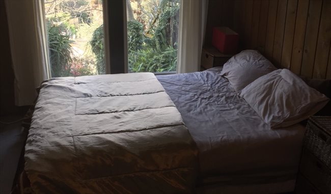 Room to rent in Sealy Road, Napier - Furnished room Napier Hill close to town . - Image 1