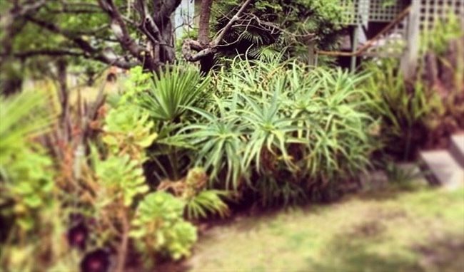 Room to rent in Sealy Road, Napier - Furnished room Napier Hill close to town . - Image 3
