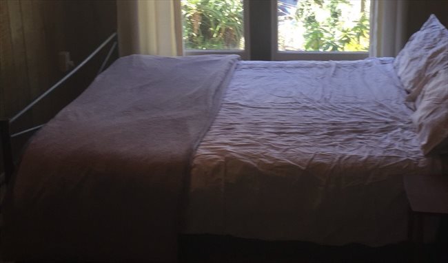 Room to rent in Sealy Road, Napier - Furnished room Napier Hill close to town . - Image 6