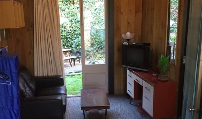 Room to rent in Sealy Road, Napier - Furnished room Napier Hill close to town . - Image 7