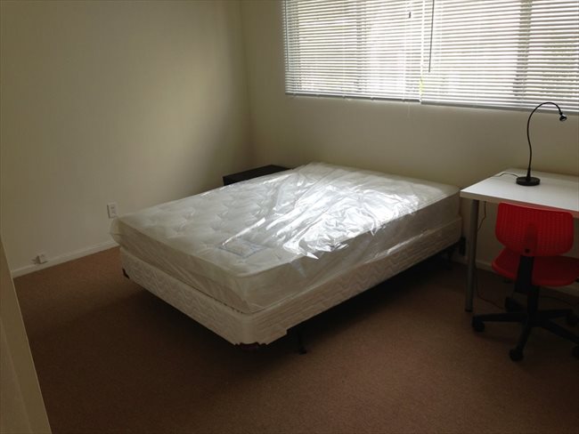 Room for rent in Bay Street, Ocean Park - SHARED ROOM FOR FEMALE - Image 5