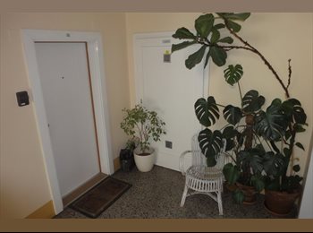 EasyWG AT - Zimmer - Schönbrunn-Nähe (U4-Braunschweigg), Wien - 300 € pm