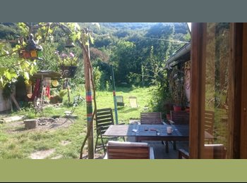 EasyWG AT - Room in House with big Garden and nice People, Wien - 350 € pm