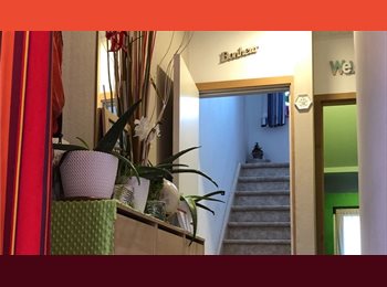 Appartager BE - COLOC SYMPA 2 chamb LIEGE (Laveu/Cointe/Kleyer)  , Saint-Nicolas - 460 € pm