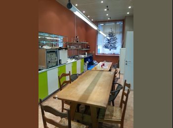 Appartager BE - House Share for young professionals, Etterbeek - 500 € pm