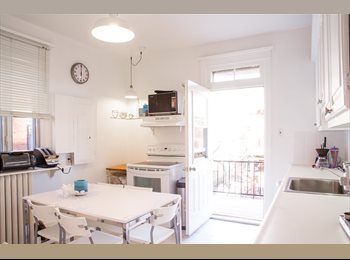 EasyRoommate CA - BEAUTIFUL HOUSE FOR STUDENTS:CONCORDIA,MCGILL,UDM, Montréal - $550 pcm