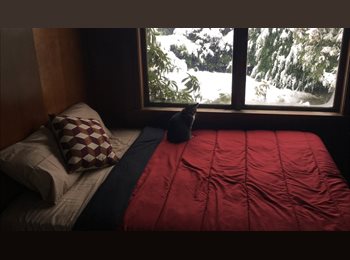 EasyRoommate CA - Cozy furnished room available near UBC / Oakridge, Vancouver - $700 pcm