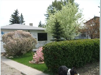 EasyRoommate CA - Furnished Bedroom to Rent in Bowness Bungalow, Calgary - $500 pcm