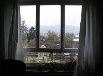 EasyWG CH - Adelheid, Zürich - 1'250 CHF / Mois