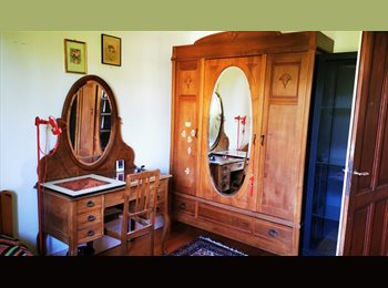 EasyWG CH - chambre à louer étudiant-e, Genève - 1'200 CHF / Mois