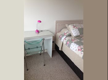 CompartoDepto CL - Comparto departamento, Viña del Mar - CH$ 200.000 por mes