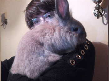 CompartoDepto CL - Kattya - 20 - Santiago