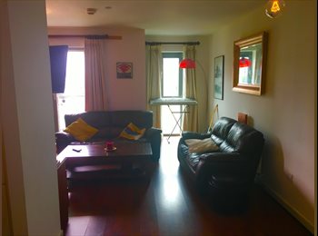 EasyRoommate IE - Chilled housemate wanted! , Dublin - €950 pcm