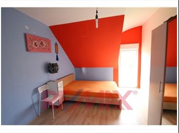 Appartager LU - 499/m Furnished room available immediately, Luxembourg - 499 € / Mois