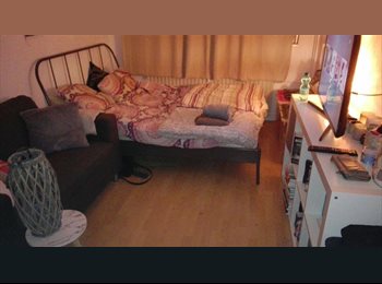 EasyKamer NL - Breda, Breda - € 330 p.m.