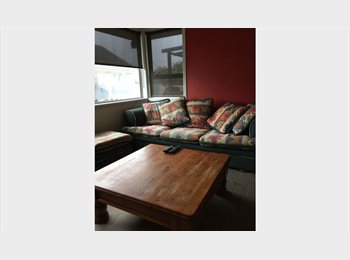  NZ - Sun morning noon and early evening, Christchurch - $150 pw