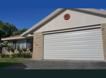  NZ - Single and double/shared room available, Hamilton - $160 pw