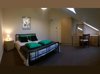 EasyRoommate UK - Professional Houseshare , South Gosforth - £370 pcm