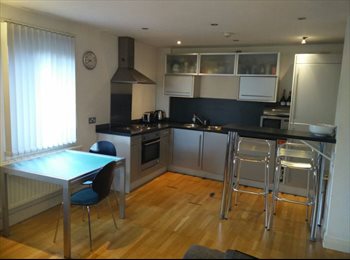 EasyRoommate UK - Double room in superior 2 bed apt M15 4QR, Castlefield - £475 pcm