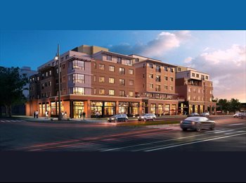 EasyRoommate US - Amazing 3x3 Units in Old Town Fort Collins, Fort Collins - $739 pm