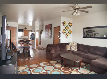 EasyRoommate US - need 1 roommate - one monthly bill ($485) covers everything!, Columbia - $400 pm