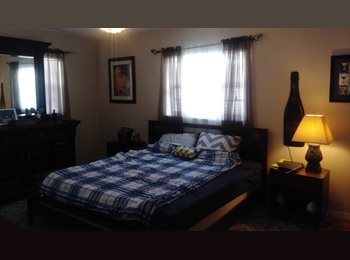 EasyRoommate US - male room mate wanted, Saint Petersburg - $850 pm