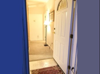 EasyRoommate US - Month-to-month private studio close to shops and route 50, Chantilly - $750 pm